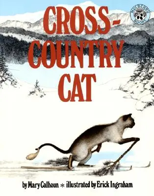 Gato Cross-Country - Cross-Country Cat