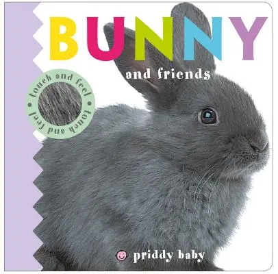El conejito y sus amigos - Bunny and Friends