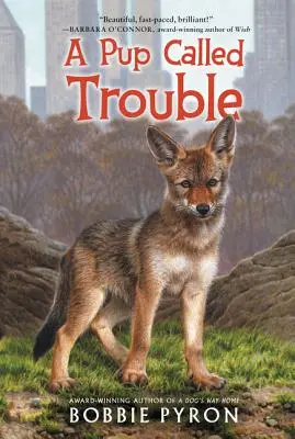 Un cachorro con problemas - A Pup Called Trouble