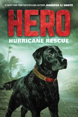 Héroe: Rescate tras un huracán - Hero: Hurricane Rescue