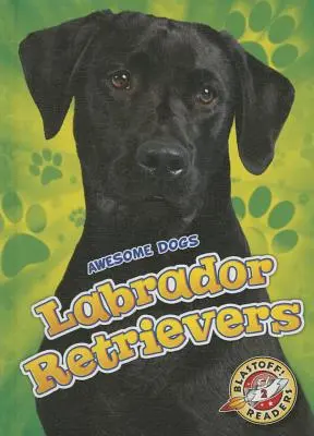 Labradores Retriever Labradores Retriever - Labrador Retrievers Labrador Retrievers