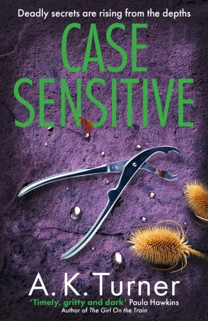 Caso Sensible - Un apasionante misterio forense ambientado en Camden - Case Sensitive - A gripping forensic mystery set in Camden