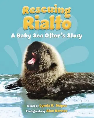 El rescate de Rialto: La historia de una cría de nutria marina - Rescuing Rialto: A Baby Sea Otter's Story