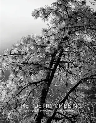 La poesía del ser: Fotografías y Haikus - The Poetry of Being: Photographs and Haikus