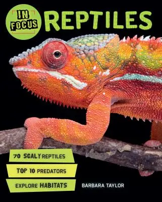 En portada: Reptiles - In Focus: Reptiles