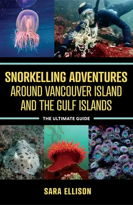 Aventuras de snorkel por la isla de Vancouver y las islas del Golfo: La guía definitiva - Snorkelling Adventures Around Vancouver Island and the Gulf Islands: The Ultimate Guide