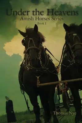 Bajo el cielo - Under the Heavens