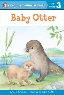 Nutria bebé - Baby Otter