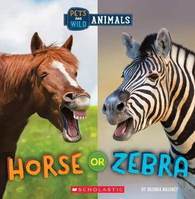 Caballo o cebra (Mundo salvaje: Mascotas y animales salvajes) - Horse or Zebra (Wild World: Pets and Wild Animals)