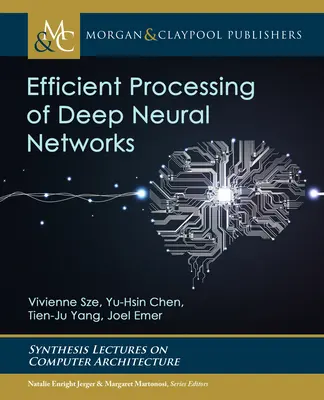 Procesamiento eficiente de redes neuronales profundas - Efficient Processing of Deep Neural Networks