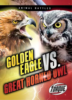 Águila real contra búho cornudo - Golden Eagle vs. Great Horned Owl