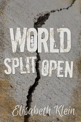El mundo partido por la mitad - World Split Open