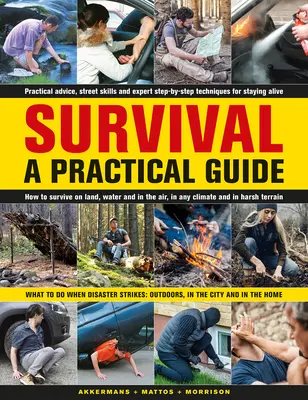 Supervivencia: Guía práctica: Qué hacer en caso de catástrofe: Al aire libre, en la ciudad y en el hogar - Survival: A Practical Guide: What to Do When Disaster Strikes: Outdoors, in the City and in the Home