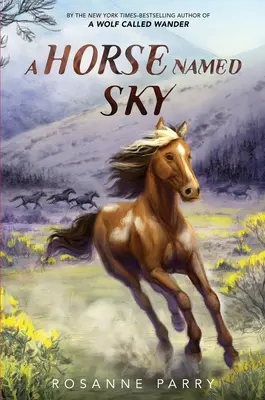 Un caballo llamado Sky - A Horse Named Sky