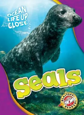 Focas - Seals