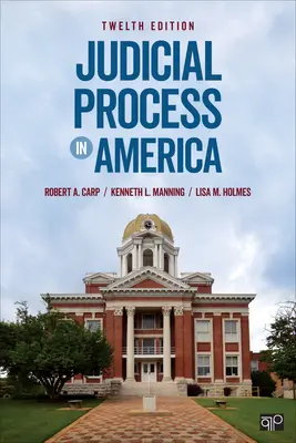 El proceso judicial en América - Judicial Process in America