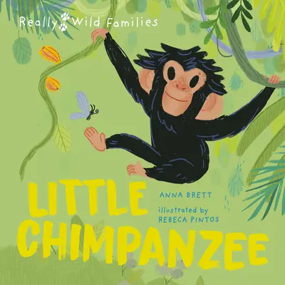 Pequeño chimpancé: Un día en la vida de un bebé chimpancé - Little Chimpanzee: A Day in the Life of a Baby Chimp