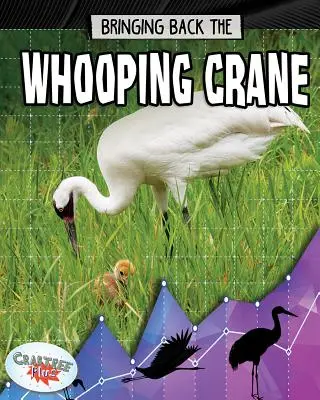 El regreso de la grulla trompetera - Bringing Back the Whooping Crane