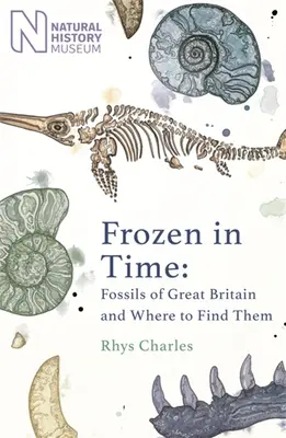 Congelados en el tiempo: Fósiles de Gran Bretaña y dónde encontrarlos - Frozen in Time: Fossils of Great Britain and Where to Find Them