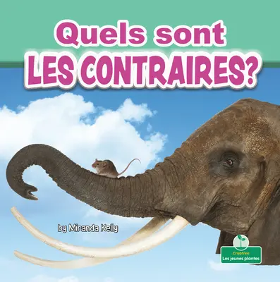 Quels Sont Les Contraires? (¿Qué son los opuestos?) - Quels Sont Les Contraires? (What Are Opposites?)