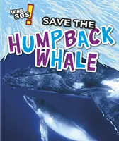 Salvar a la ballena jorobada - Save the Humpback Whale