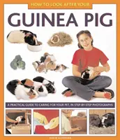 Cómo cuidar de su cobaya - How to Look After Your Guinea Pig