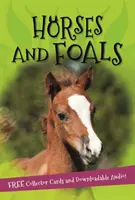 Todo sobre... Caballos y potros - It's all about... Horses and Foals