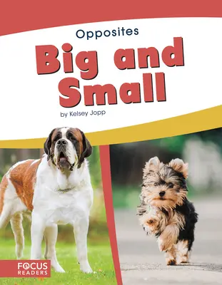 Grandes y pequeños - Big and Small