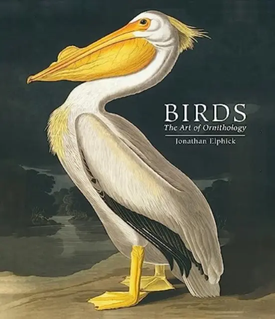 Aves - El arte de la ornitología (edición de bolsillo) - Birds - The Art of Ornithology (Pocket edition)