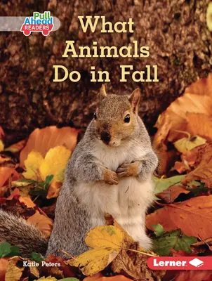 Qué hacen los animales en otoño - What Animals Do in Fall