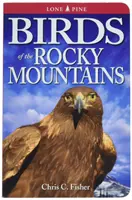 Aves de las Montañas Rocosas - Birds of the Rocky Mountains