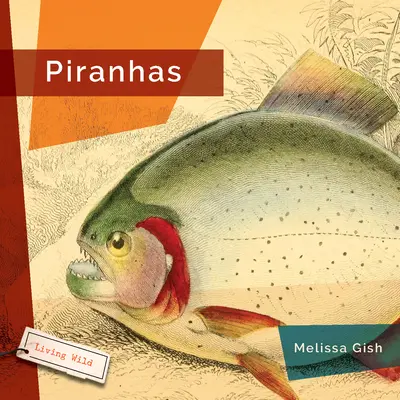 Pirañas - Piranhas