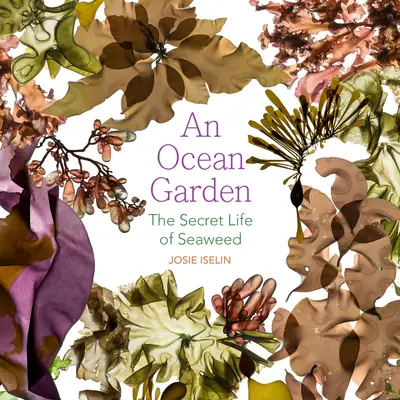 Un jardín oceánico: La vida secreta de las algas - An Ocean Garden: The Secret Life of Seaweed