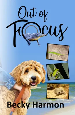 Fuera de foco - Out of Focus