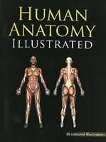 Anatomía Humana Ilustrada - Human Anatomy Illustrated