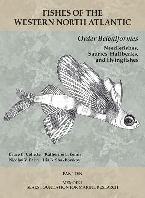 Orden Beloniformes: Needlefishes, Sauries, Halfbeaks, and Flyingfishes: Parte 10 - Order Beloniformes: Needlefishes, Sauries, Halfbeaks, and Flyingfishes: Part 10