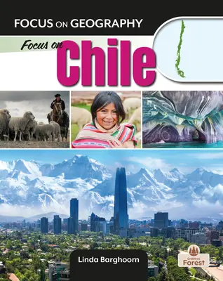 Chile en el punto de mira - Focus on Chile