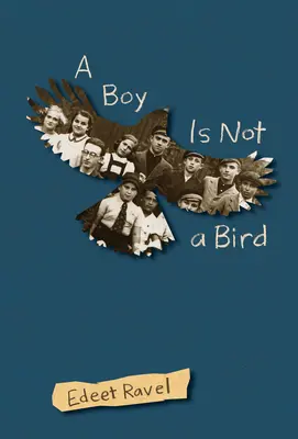 Un niño no es un pájaro - A Boy Is Not a Bird