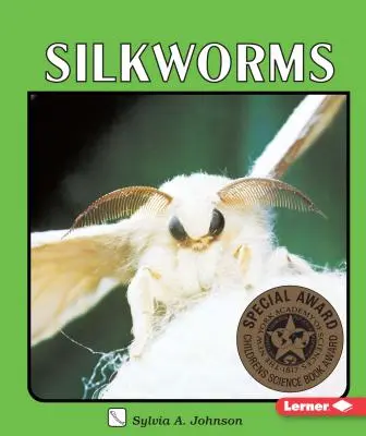 Gusanos de seda - Silkworms