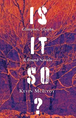 ¿Es así? Vislumbres, glifos y novelas encontradas - Is It So? Glimpses, Glyphs, & Found Novels