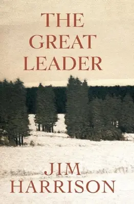 El Gran Líder: Un falso misterio - The Great Leader: A Faux Mystery