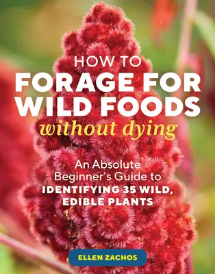 Cómo buscar alimentos silvestres sin morir: Guía para principiantes para identificar 40 plantas silvestres comestibles - How to Forage for Wild Foods Without Dying: An Absolute Beginner's Guide to Identifying 40 Edible Wild Plants