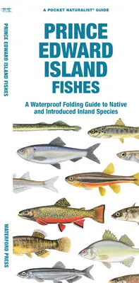 Los Peces De La Isla Del Príncipe Eduardo: A Waterproof Folding Guide to Native and Introduced Freshwater Species (Guía plegable impermeable de especies de agua dulce autóctonas e introducidas) - Prince Edward Island Fishes: A Waterproof Folding Guide to Native and Introduced Freshwater Species