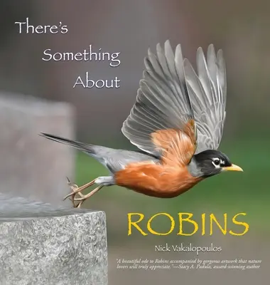 Algo pasa con los petirrojos - There's Something About Robins