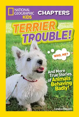 ¡Terrier Trouble! Y más historias reales de animales que se portan mal - Terrier Trouble!: And More True Stories of Animals Behaving Badly