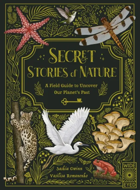 Historias secretas de la naturaleza: una guía de campo para descubrir el pasado de nuestro planeta - Secret Stories of Nature - A Field Guide to Uncover Our Planet's Past