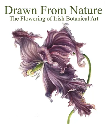 Dibujados de la Naturaleza: El florecimiento del arte botánico irlandés - Drawn from Nature: The Flowering of Irish Botanical Art