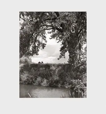 Robert Adams Cottonwoods - Robert Adams: Cottonwoods