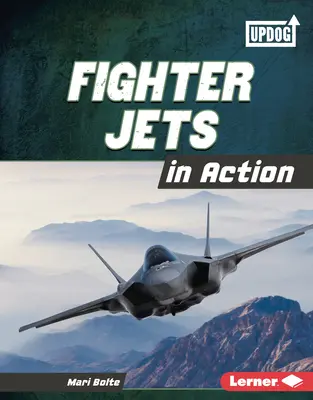 Aviones de combate en acción - Fighter Jets in Action