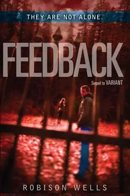 Comentarios - Feedback